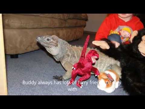 YouTube Video -cF9U9xQids