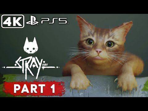 STRAY - Part#1 ► PS5 Gameplay Walkthrough ► no commentary