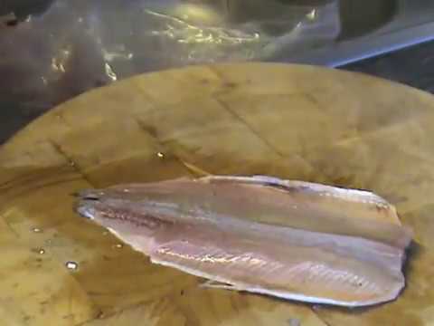 download lagu mp3 mp4 Rollmops Rezept, download lagu Rollmops Rezept gratis, unduh video klip Rollmops Rezept