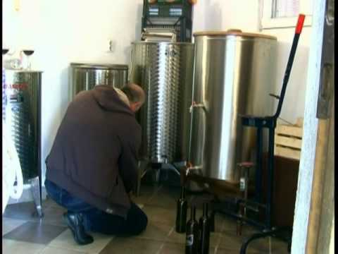 Proizvodnja vina u Bistarcu