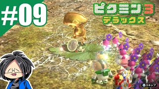 #09【ゲーム実況】らりるりらの「ピクミン3　デラックス」