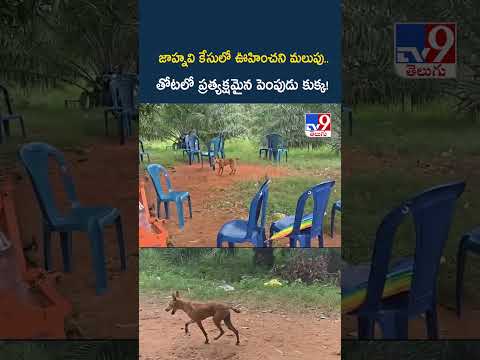 జాహ్నవి కేసులో ఊహించని మలుపు.. తోటలో ప్రత్యక్షమైన పెంపుడు కుక్క! - TV9