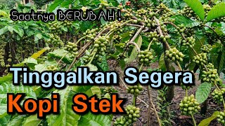 Download lagu Coffee cuttings will soon be abandoned! Switch to a hedge system coffee planting pattern. mp3