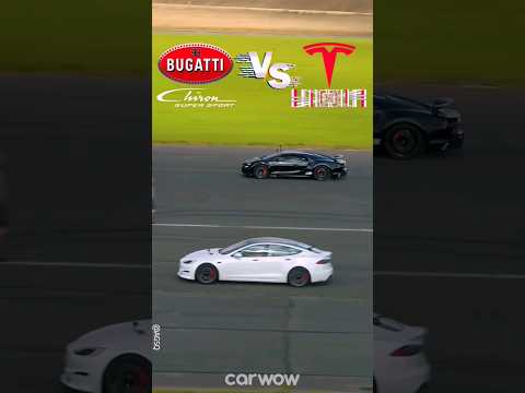 Bugatti chiron VS Tesla Model S plaid, Bugatti VS Tesla #bugatti #tesla #chiron #models