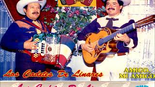 LOS CADETES DE LINARES PENSE QUE FUERAS TU