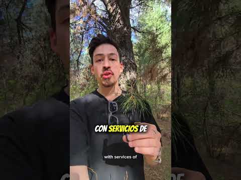 Dia 8: Terrenos en Epuyen Chubut con Financiamiento  #patagoniaargentina