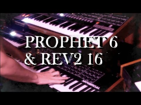 Prophet 6 Dark Sounds- Played from Rev2
