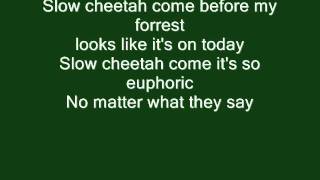 Red Hot Chili Peppers - Slow Cheetah (Lyrics)