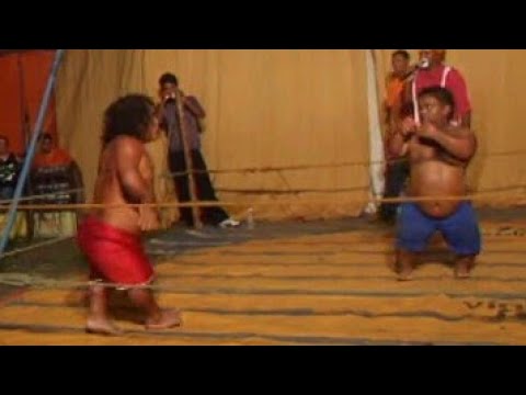 Luta de anões ao som de Link Park