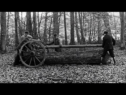 BEFORE MACHINERY: Felling a 200-Year-Old Oak for a Mill