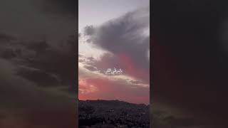 الحب أن تتصبري أنت اشتياقي والوطن