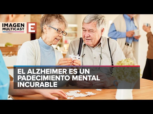 Youtube Imagen