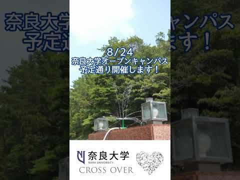 言語文化学科 【奈良大学　夏のオープンキャンパス第3弾】#奈良大学 #奈良大 #オープンキャンパス #オーキャン #shorts