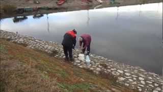 preview picture of video 'Ψάρεμα στο Δούναβη - Veliko Gradiste, Silver Lake'