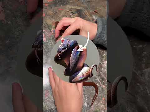 How to make a polymer clay snake! #polymerclay #snake