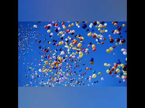 NE KRIVI ME (DULE JOVIĆ)