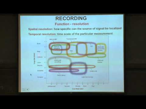 Brain II: Methods of Research