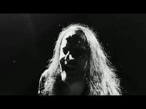 Kimkoi - KOI DIVISION