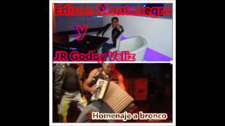 BRONCO PUENTE DE PIEDRA homenaje desde Chile