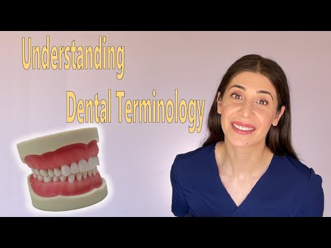DENTAL TERMS IN SIMPLE LANGUAGE