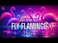 Fly Flamingo – GOOMBAY DANCE BAND (Cover Malva Sound Club Bass Remix)