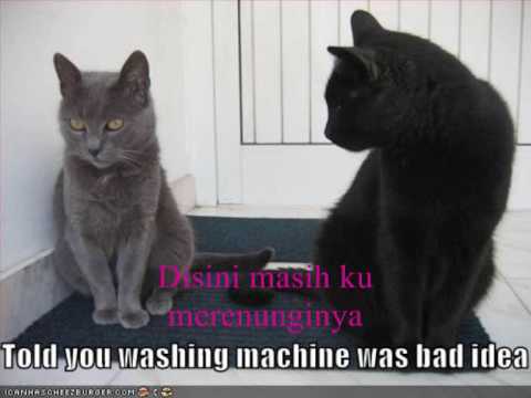Download Lagu Hijau Daun De Ja Vu Mp3 Gratis