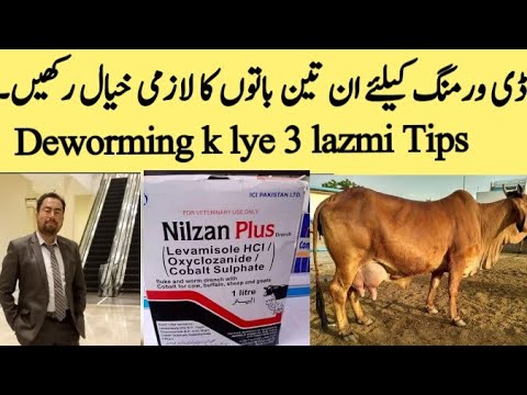 Deworming ki 3 best Tips ڈی ورمنگ کے تین لازمی اصول