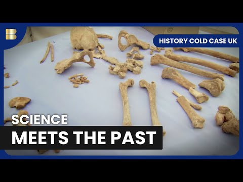 Uncovering Human Remains Compilation | History Cold Case UK