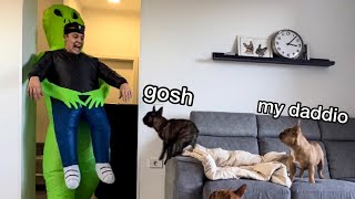 Stranger Steals our Daddy / HILARIOUS Dog Reaction