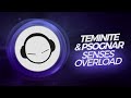 Teminite & PsoGnar - Senses Overload (Original ...