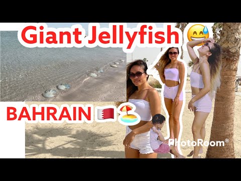 AL ZALLAQ BEACH BAHRAIN 🇧🇭 || WHITE SAND