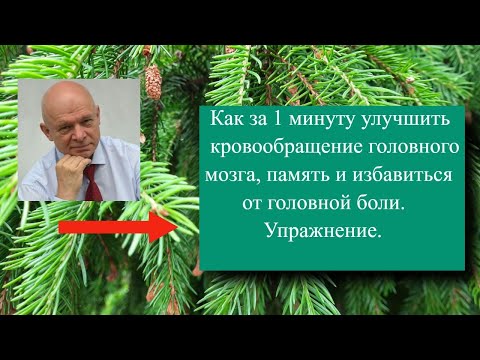 Обложка видео