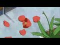 Rod Wave Got It Right Slowed Reverb