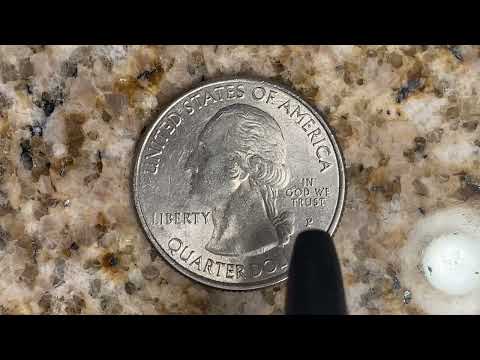 2015 P BOMBAY HOOK AMERICA THE BEAUTIFUL QUARTER NATIONAL PARK QUARTER: 275,000,000 MINTED