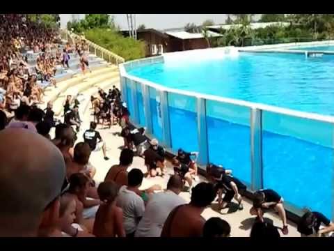 Flash Mob dei ragazzi di Step Up 4 Revolution 3D a Zoomarine