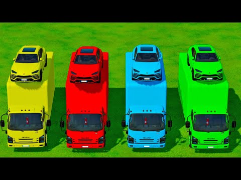 TRANSPORTING A LAMBORGHINI URUS WITH ISUZU VAN & PARKOUR