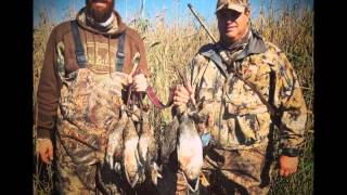 Bird Season &#39;14 - &#39;15 with Music by The Promise Ring - Arms and Danger