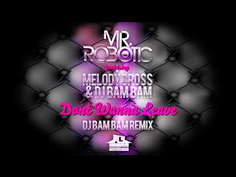 Mr.Robotic feat. Melody Cross & DJ Bam Bam - Dont Wanna Leave (DJ Bam Bam Remix) [PREVIEW]
