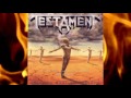 Testament Time is coming (Subtitulos en español)