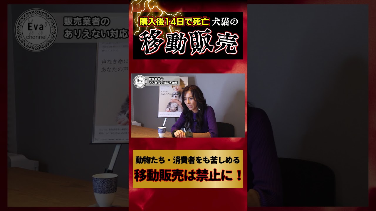 購入後14日で死亡…「犬猫の移動販売」動物たち・消費者をも苦しめる移動販売は禁止に！