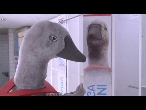 Outra vaca no millo! Abónate ao Monbus Obradoiro!