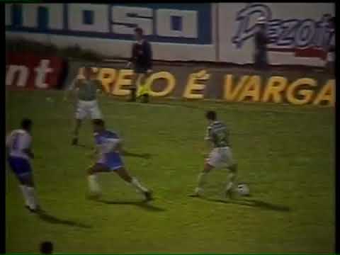 Marilia 1x3 Palmeiras - Campeonato Paulista 1993