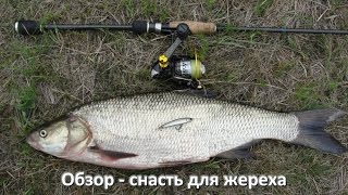 Ссылка