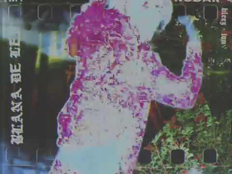 Bleez - BLANA DE LEU feat. Ian (audio)
