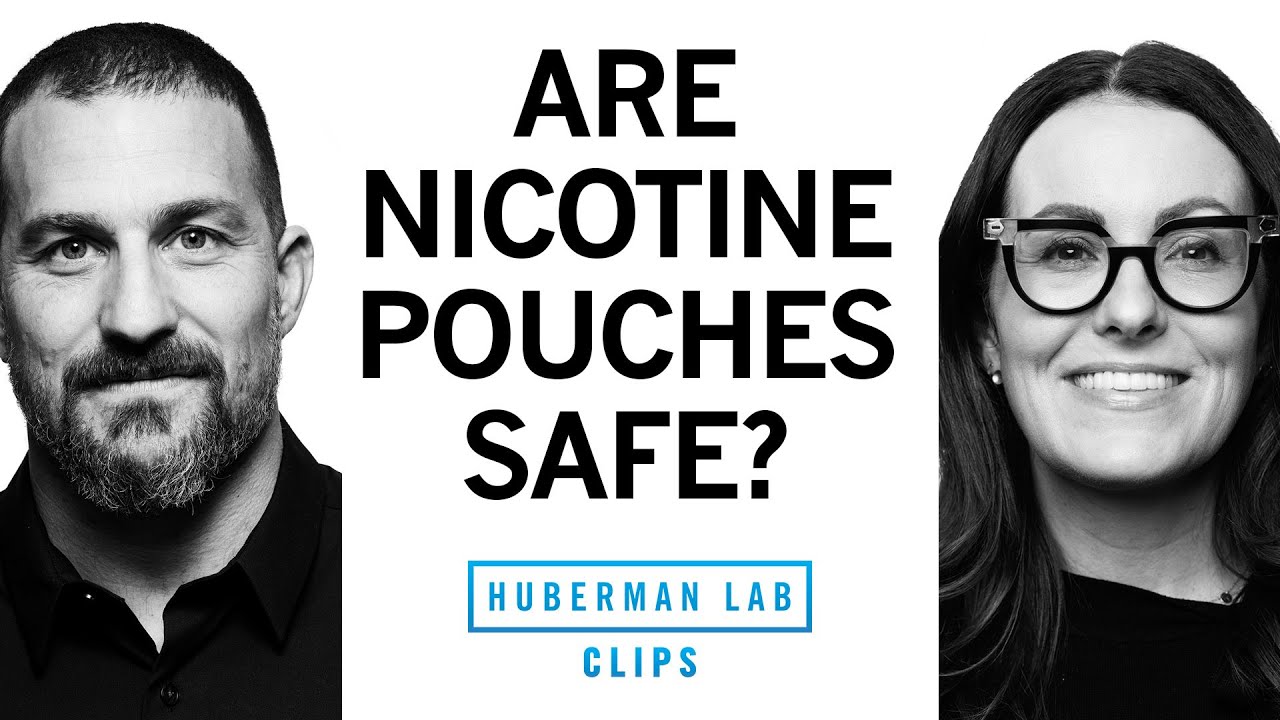 How Nicotine Pouches Affect Oral Health | Dr. Staci Whitman & Dr. Andrew Huberman