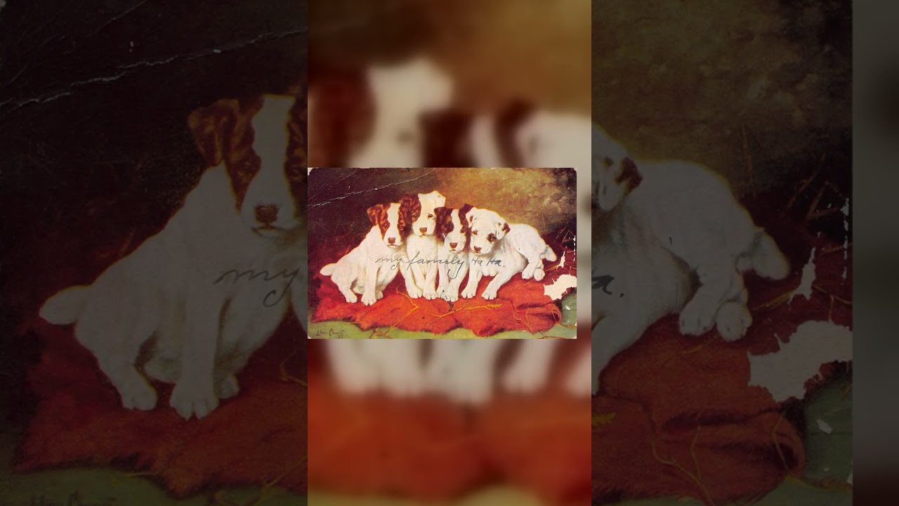 Lina Cherrie Postcard, Puppies, Mount Vernon SD, 1908 Video