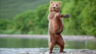 Purple Disco Machine - Body Funk (Original Mix)