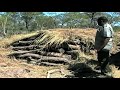 Environment Ministry Seizes Illegally Cut Timber Logs Nbc