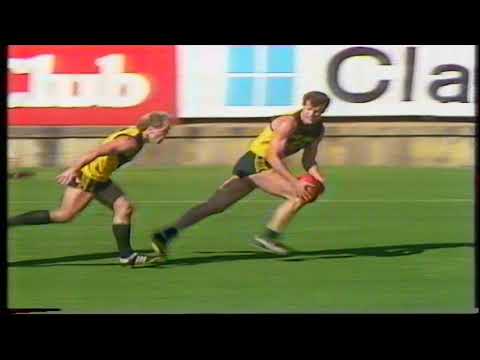1988 Round 22 Woodville 18.9 117 d North 14.14 98