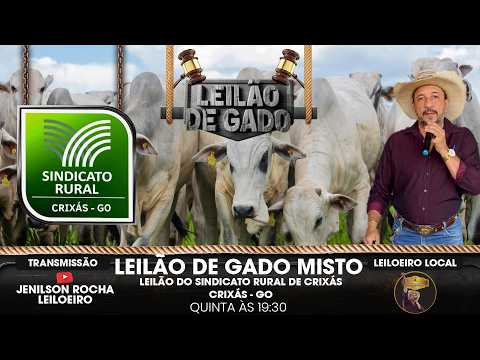 LEILÃO SINDICATO RURAL DE CRIXAS-GO 27/08/2026 JENILSON ROCHA LEILOEIRO